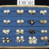 Dior Stud Earrings Collection Set