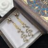 692ff96d99f2d84055c8e42d Dior New Diamond-Inlaid Letter Fashion Elegant Set