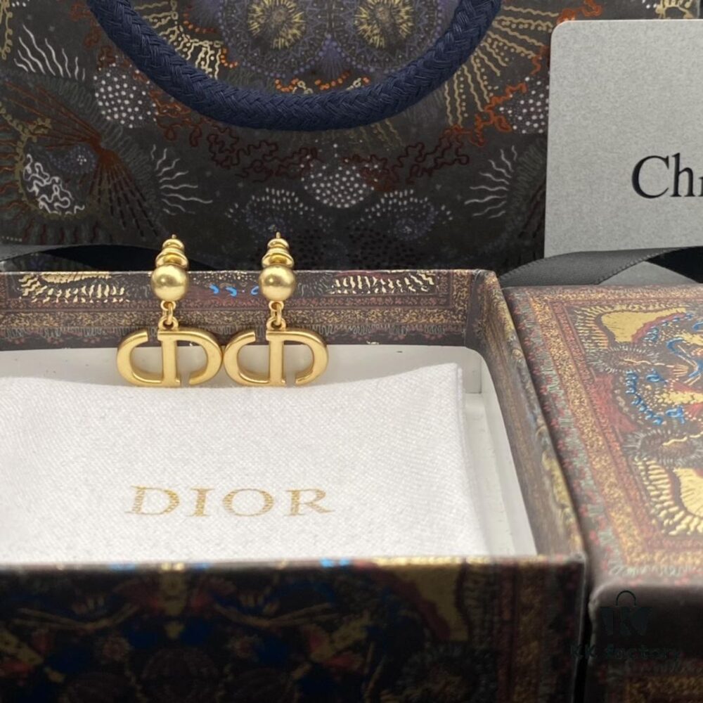 692ff97e99f2d84055c8e446 Dior New Style Letter Elegant Stud Earrings 🤎
