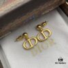 Dior New Style Letter Elegant Stud Earrings 🤎