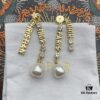 692ff99f99f2d84055c8e467 Dior DIOR Tassel Stud Earrings, Retro Style, Available in Two Colors: Yellow Gold and Another Option, Same Material, 925 Silver Post