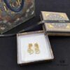 DiorCD Stud Earrings