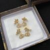 692ff9cb99f2d84055c8e488 Dior Star CD Pearl Rhinestone Stud Earrings, Unique Design, High Street Wearability