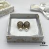 Dior New Arrival Stud Earrings