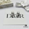 Dior New CD Nose Ring Stud Earrings