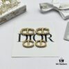 Dior New CD Stud Earrings