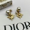 Dior New Arrival Stud Earrings