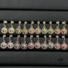 Dior Compass Hook Earrings