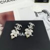 692ffd0699f2d84055c8e86a New Xiaoxiang Silver Wheat Ear Rhinestone ✨ Light Gold Heart Pendant Earrings ✨