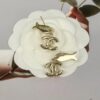 692ffd4699f2d84055c8e8c4 Xiaoxiang New Arrival Ocean Series 🐟 European and American Style Personalized Luxury Rhinestone Letter Fish Earrings
