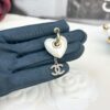 CHANE New Style Resin Heart Pierced Hook Earrings