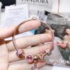 PANDORA Pandora Customer Order Shipping Actual Photos