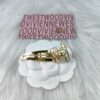 Westminster Love Pin Hair Clip