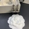 West Queen Crystal Drip Earrings, Clear Quartz and Black Crystal