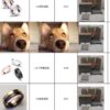 6930164e12f62673a6facba2 CK Rings / Necklaces / Bracelets Collection, Comes with Original Retail Packaging, Authentic Source from Tmall! Perfect for Couples, Exceptional Value for Money