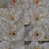 Authentic Buccellati Silk-Finished Chalcedony Necklace