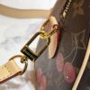 6930213212f62673a6fad84b Upgraded Original Cherry 🍒 M13094 M46234 M46222 Speedy Bandoulière 20 Handbag