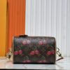 6930213712f62673a6fad853 Upgraded Original Cherry 🍒 M13094 M46234 M46222 Speedy Bandoulière 20 Handbag
