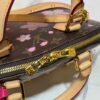 6930217a12f62673a6fad8a6 Takashi Murakami Cherry Blossom M13104, M53152, M13670 Louis Vuitton Alma Bag
