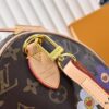 693024e212f62673a6fadbe7 M45957.M58953 M40391 Speedy Bandoulière 30 Handbag