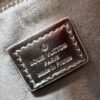 693024fc12f62673a6fadbff M11835 M53151 M82717 LV Ski Alma Mini Bag