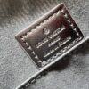 6930250b12f62673a6fadc09 M11835 M53151 M53152 LV Ski Alma Medium Handbag