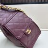 New Chanel 25 Bag