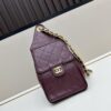 New Chanel 25 Bag