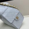 New Chanel 25 Handbag