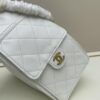 69303e51f09edb6de4c4d614 New Chanel 25 Handbag