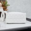 New Chanel 25 Handbag