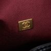 New Chanel 25 Handbag