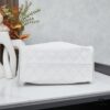 New Chanel 25 Handbag