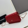 6930411af09edb6de4c4d8be Chanel WOC Classic Fortune Bag with Box (33814 Ball Texture) - Can Be Worn as Crossbody, Shoulder or Clutch