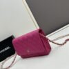 69304121f09edb6de4c4d8c6 Chanel WOC Classic Fortune Bag with Box (33814 Ball Texture)