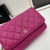 69304122f09edb6de4c4d8c7 Chanel WOC Classic Fortune Bag with Box (33814 Ball Texture)