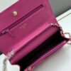 69304129f09edb6de4c4d8cb Chanel WOC Classic Fortune Bag with Box (33814 Ball Texture)