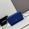 69304133f09edb6de4c4d8d1 Chanel WOC Classic Fortune Bag with Box (33814 Ball Texture) - Can Be Worn Crossbody or Shoulder, Chain Stows Inside for Clutch Use