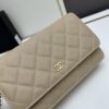 69304153f09edb6de4c4d8e4 Chanel WOC Classic Fortune Bag with Box (33814 Ball Texture) - Can Be Worn as Crossbody, Shoulder or Clutch