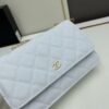 Chanel WOC Classic Ball Pattern Bag (Box Included, Model 33814) – Can Be Worn Crossbody or Shoulder, Chain Stows Inside for Clutch Use