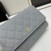 69304187f09edb6de4c4d8fb Chanel WOC Classic Fortune Bag with Box (33814 Ball Texture) - Can Be Worn as Crossbody, Shoulder or Clutch