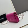 Chanel WOC Classic Fortune Bag with Box (33814 Lambskin) - Can Be Worn Crossbody, Shoulder or as Clutch