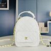 6930421ef09edb6de4c4d97e New Arrival Most Practical 'Cute Mini Waste Bag' Chanel 24C Mini Backpack