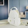 69304220f09edb6de4c4d981 New Arrival Most Practical 'Cute Mini Waste Bag' Chanel 24C Mini Backpack