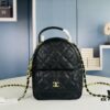 69304227f09edb6de4c4d98c New Arrival: Chanel 24C Mini Backpack – The Most Practical and Adorable 'Little Waste Bag'