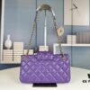 69304239f09edb6de4c4d9a6 New Arrival Large 210 Small 200 40,000+ Followers Chanel 24C Retro Oversized Logo Horizontal Chain Bag