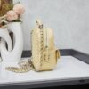 New Arrival Chanel 24C Mini Backpack, Stylish and Adorable