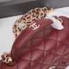 6930440df09edb6de4c4db96 New Chanel 25C Mini Messenger Bag | Multiple Wearing Styles 💼