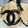 69304535f09edb6de4c4dd41 New Arrival Vintage Charm | Chanel Classic Mini Handbag in Black and White Quilted Design