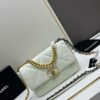 Upgraded Ohanel Fall/Winter 19 Bag Combining All Classic Pillow Bag Elements